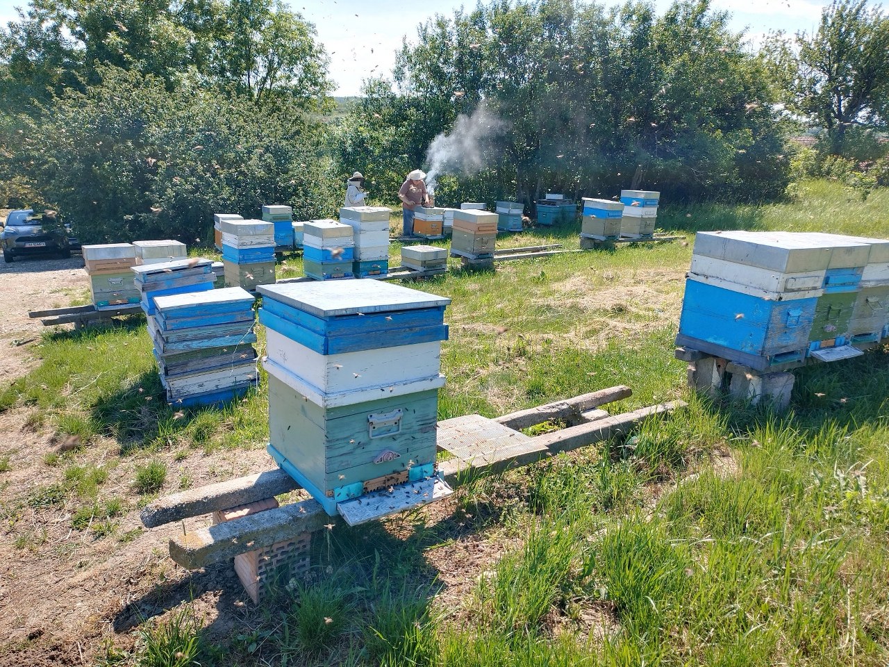 Stretnutie riešiteľov projektu BeeCare v Rumunsku